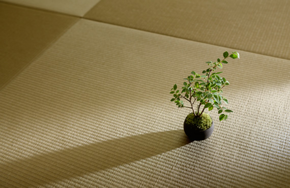 「風がとおるカウンターの家」琉球畳